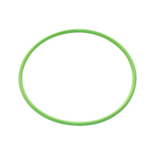 Anel Retentor Camisa Mwm 229 - Spaal