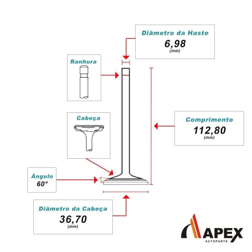 VALVULA ADMISSAO - PEUGEOT | CITROEN 1.1 1.4 1.6 8V GAS