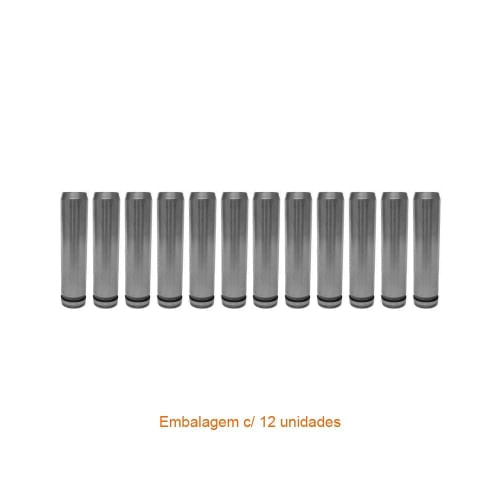 GUIA DE VALVULA - ASIA TOPIC STD