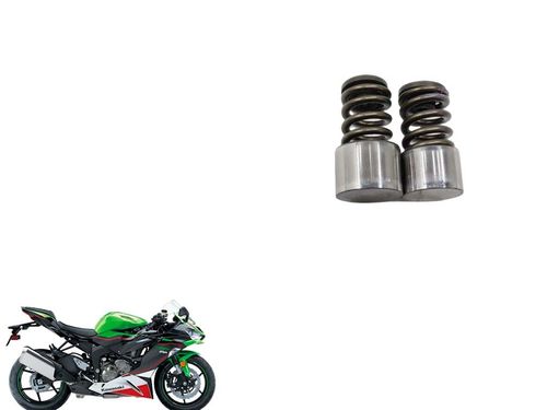 Mola Válvula Esc Kawasaki Zx 6 Zx6 19-24