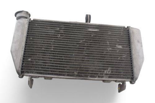 Radiador Yamaha Yzf R3 20-24