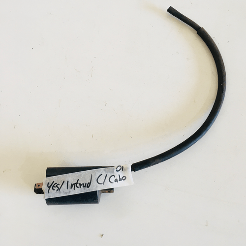 Bobina Ignição Para Suzuki Yes125 05 A 10 C Cabo Original