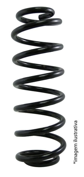 Mola Traseira Tigre com GNV<br>Fiat Brava e Marea Sedan<br>Palio Weekend e Palio Adventure<br>Palio Locker