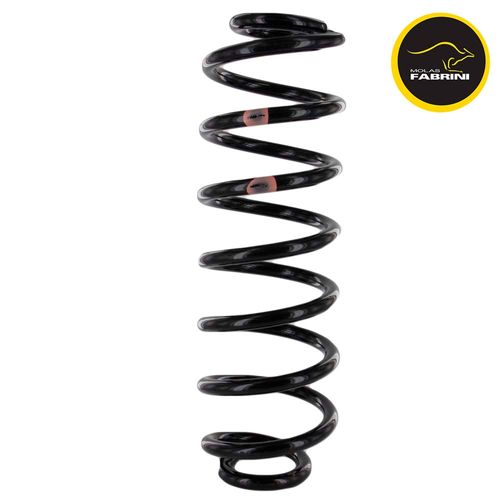 Mola Traseira Fabrini com GNV Audi A3 Bora 99 até 2011 Golf 99 até 2014 New Beetle 99 até 2010 (Preço Unitário)