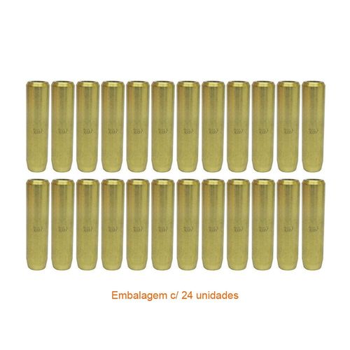 GUIA DE VALVULA A/E - RENAULT CLIO KANGOO 1.0 8V D7D | STD - RIOSULENSE