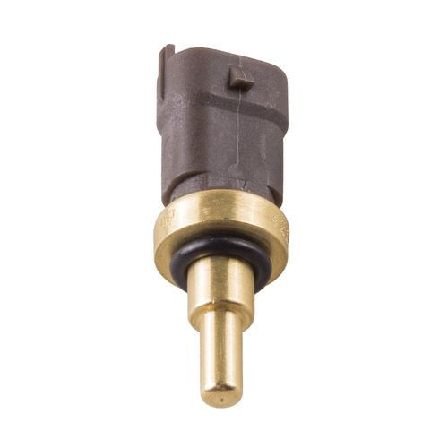 Cebolinha Temperatura BRAVO 2014/2017 - 39030 - 4217
