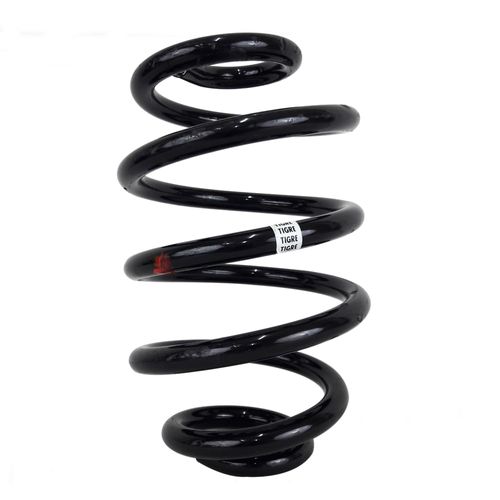 Mola Traseira (Preço Unitário) Renault Clio 2000 até 2016 com GNV Fabricante Tigre